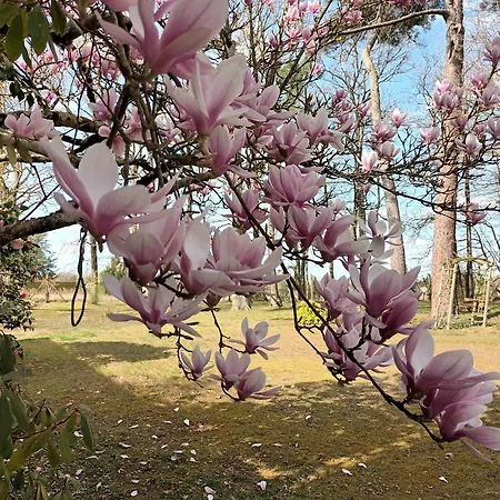 Bellopratainnes Bed & Breakfast