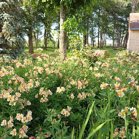 Bellopratainnes Couette-café