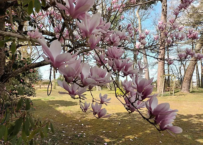 Bellopratainnes Bed & Breakfast